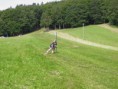 /album/fis-schnorrenbach-25-27-06-2010/p6260458-jpg/
